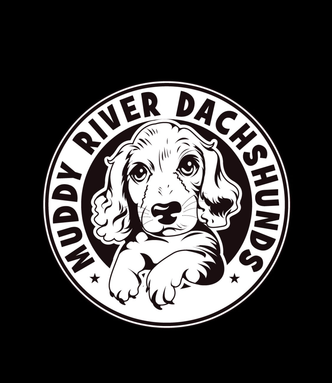 Dachshund Merchandise