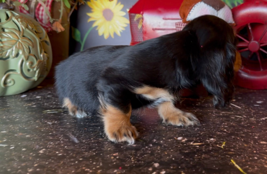 MILO NONREFUNDABLE DEPOSIT