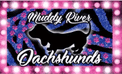 MUDDY RIVER DACHSHUNDS - Home